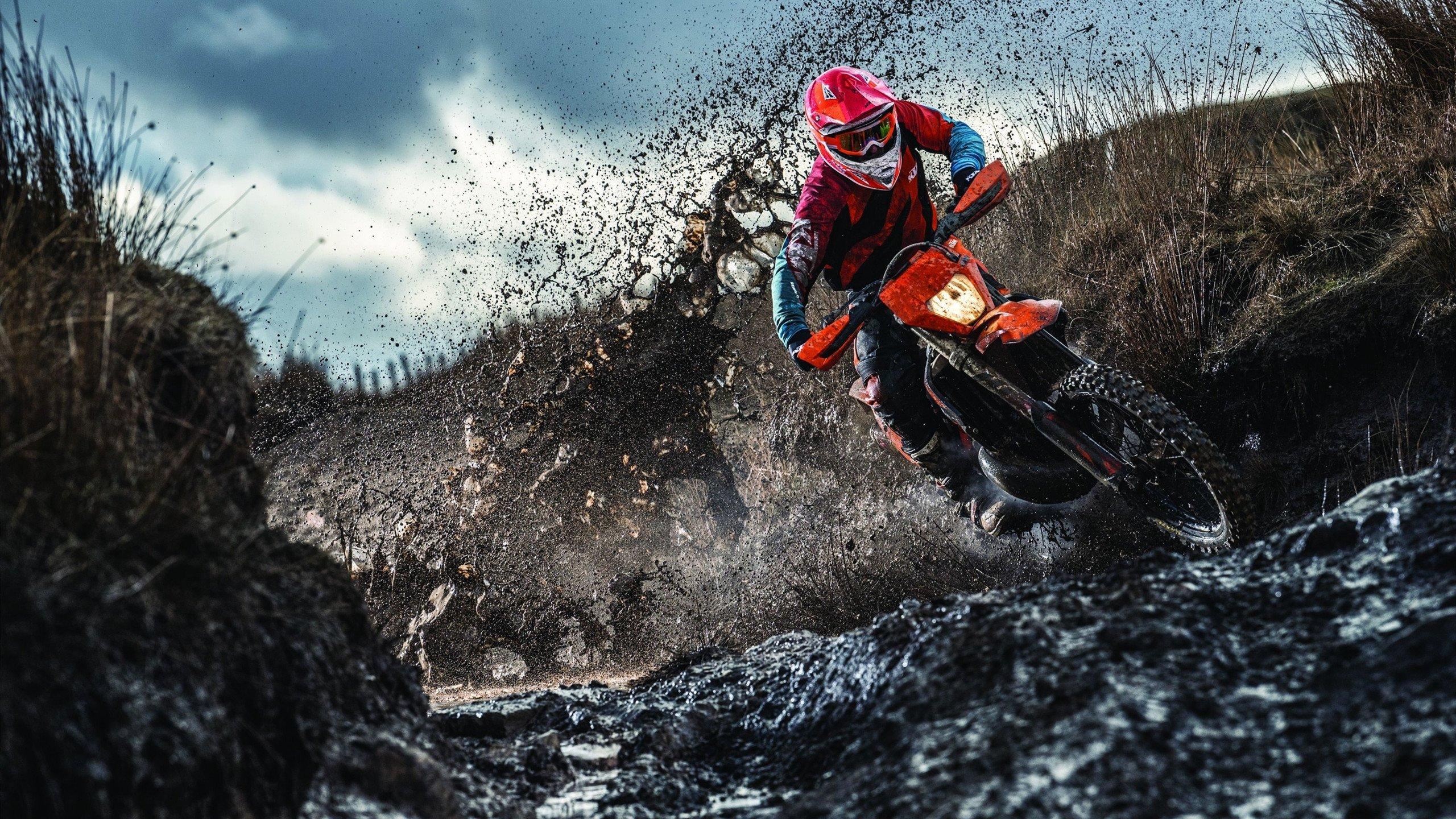 F1大奖赛西班牙站，维斯塔潘强势夺冠 红牛车队再显统治力